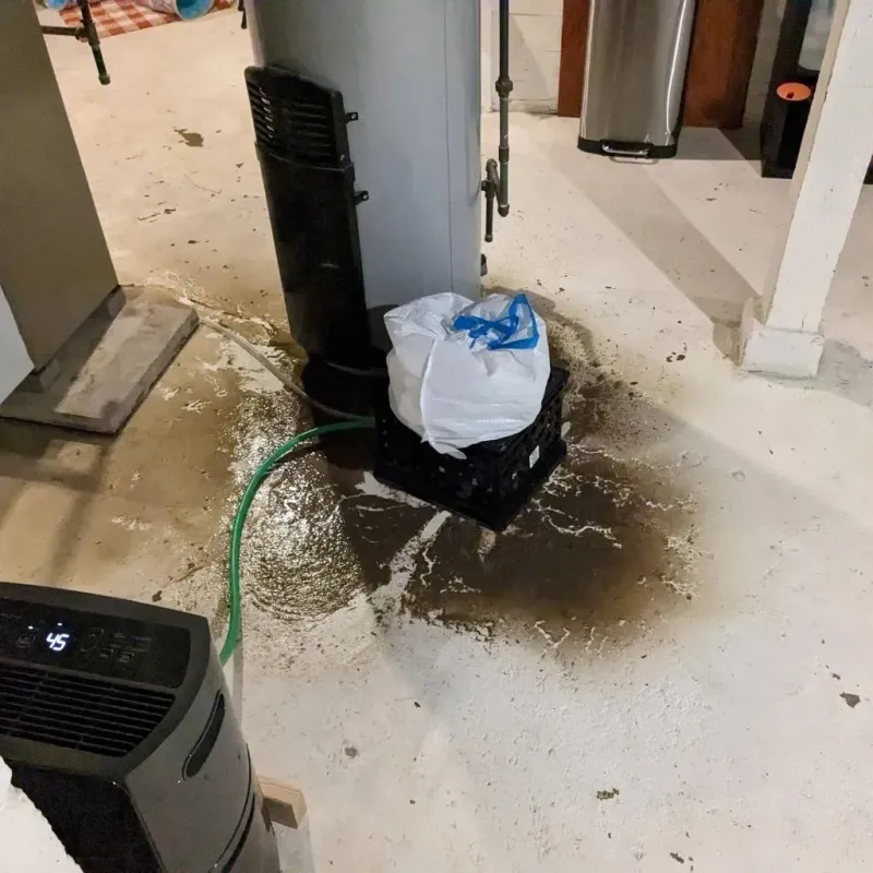 Sewage Backup Cleanup Service in Duquesne, MO